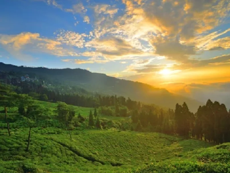 Rangli Rangliot, Darjeeling, West Bengal