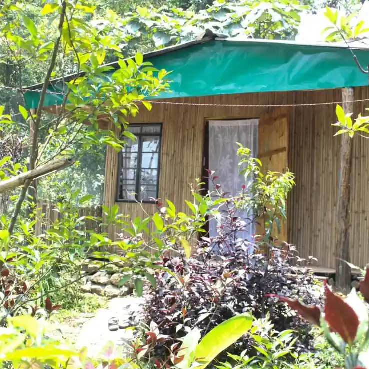 ECHO Mawlynnong Homestay - II | 30 km from Dawki