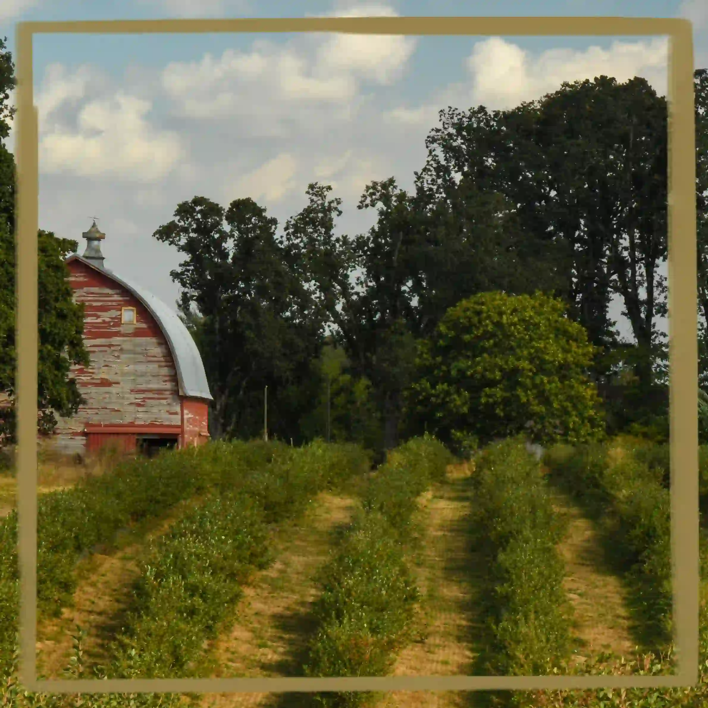 Farm & Orchard Stays